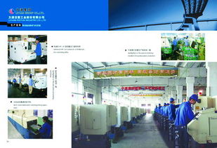 力源活塞 與主機(jī)廠并肩前行，引領(lǐng)軟件開發(fā)新篇章