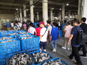 熱烈歡迎玉立金華團隊蒞臨工廠參觀與技術(shù)交流