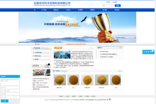 石家莊網絡建設與技術服務 構建數字時代的企業橋梁