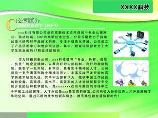 引領創新，驅動未來 XX網絡技術開發公司簡介